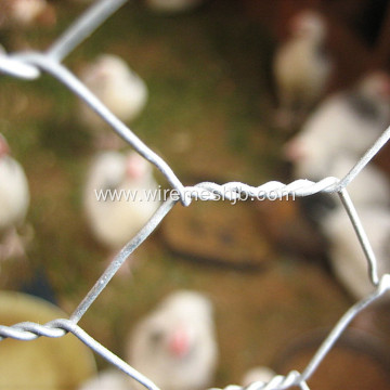 PVC Coated Chicken Wire